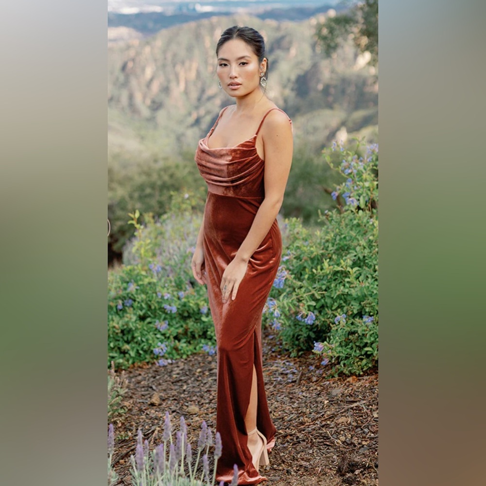 Rust color velvet Revelry bridesmaid dress